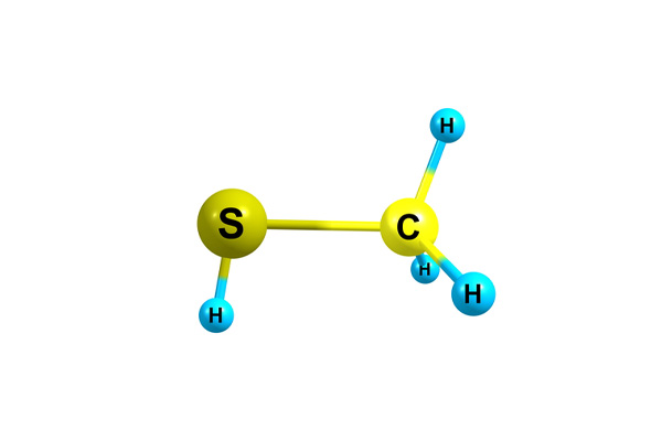 chemical structure of methyl mercaptan