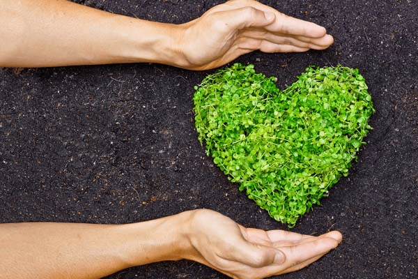 hands and plants depicting environmentally friendly propane gas