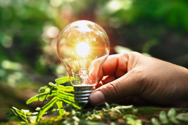 image of a lightbulb and plant depicting environmental considerations