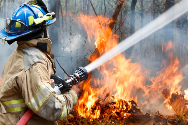 image of a forest fire depicting co2 emissions