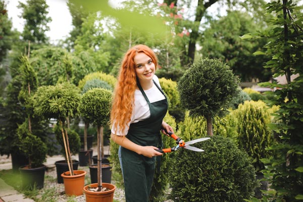 image of homeowner pruning trees in the fall