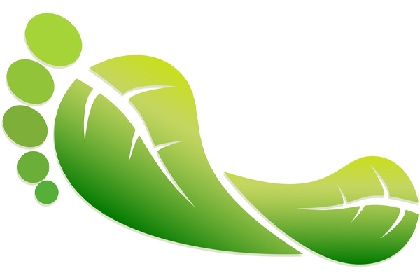 image of a green leafy foot depicting a carbon footprint