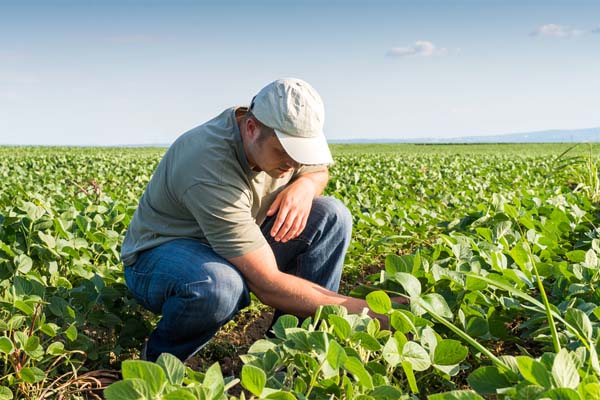 image of a farmer who produces biodiesel