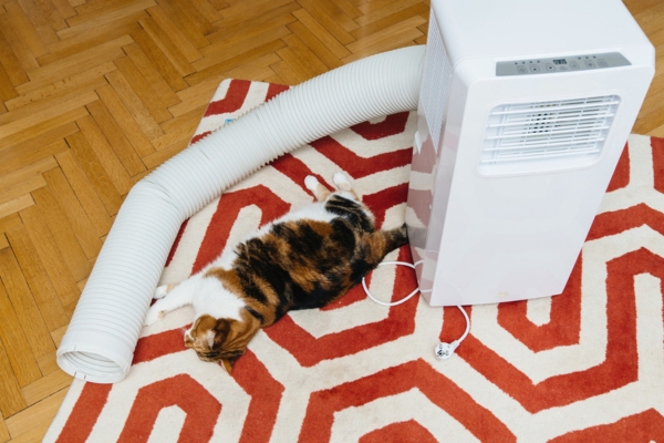 newly unboxed portable air conditioner beside a house cat