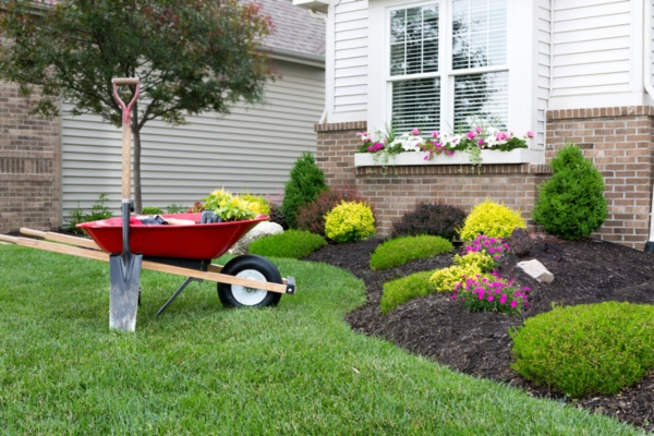 landscaping solutions to hide propane tank