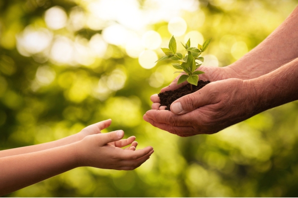 adult person holding a seedling passing it to a child depicting environmental benefits of dual-fuel heat pumps