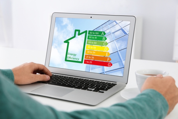 cropped view of a man looking at energy efficiency meter on computer