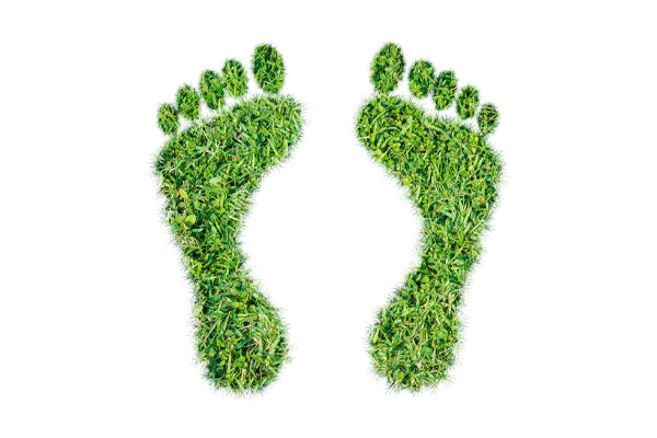 grass feet depicting is propane environmentally friendly