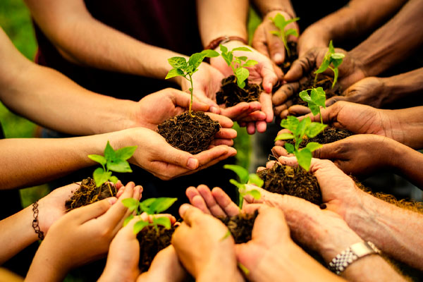 planting trees depicting propane as a green energy source